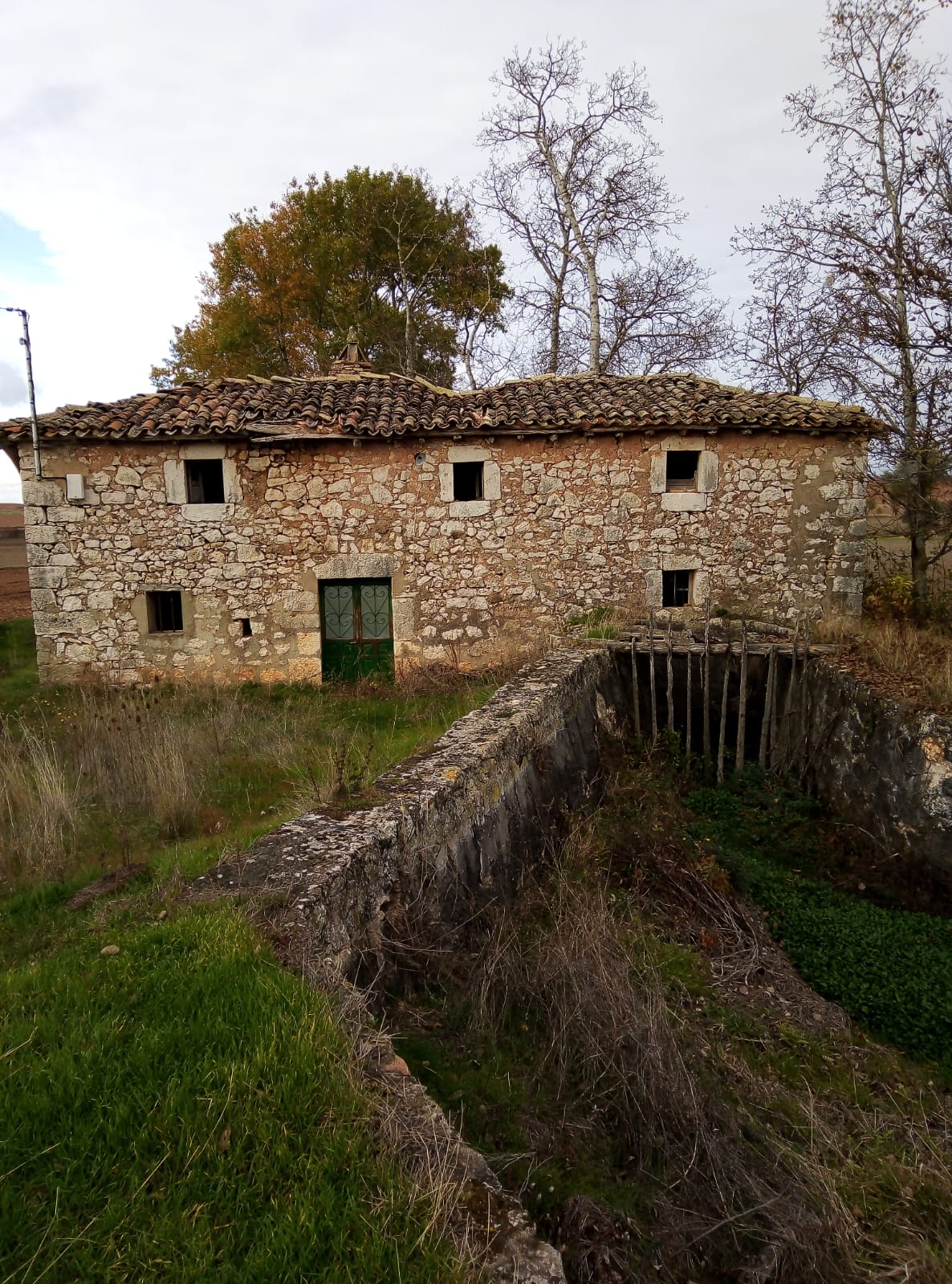 molino
