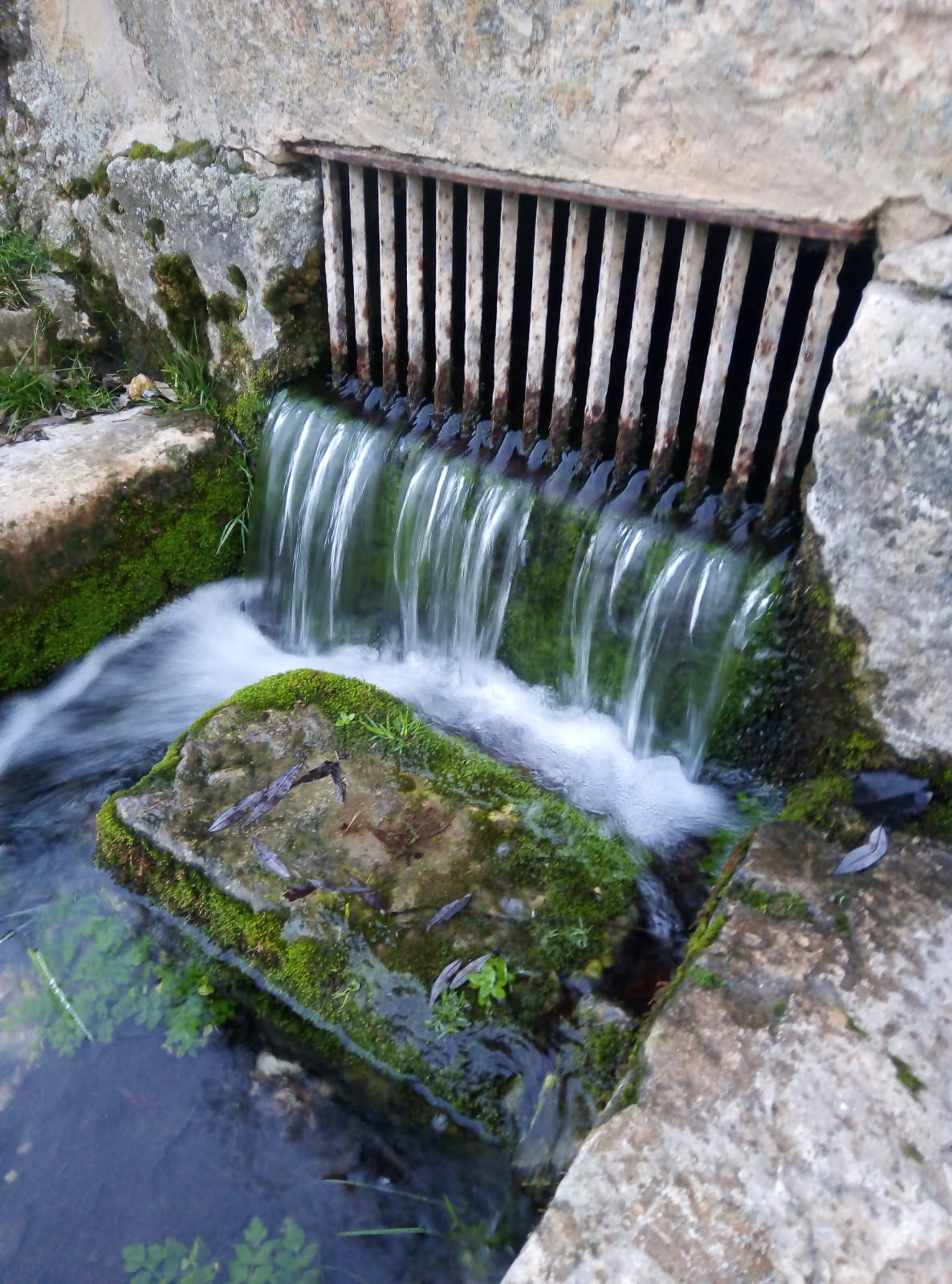 fuente untierma