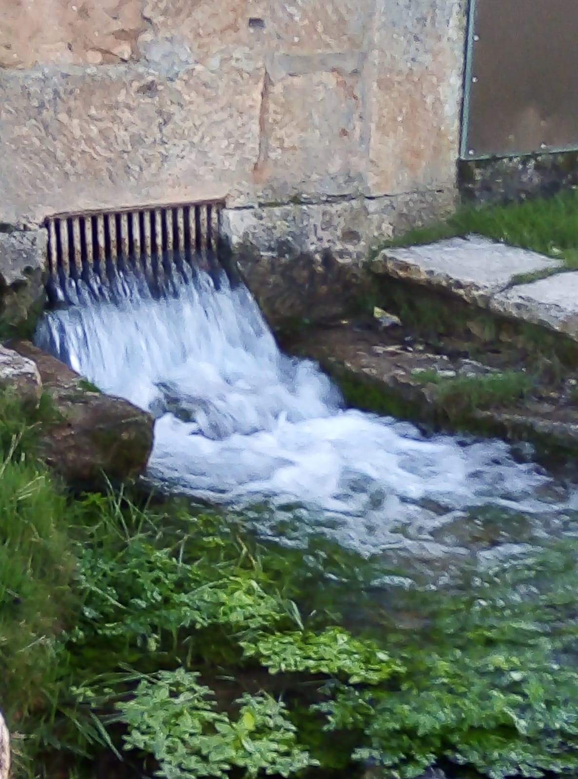 fuente untierma