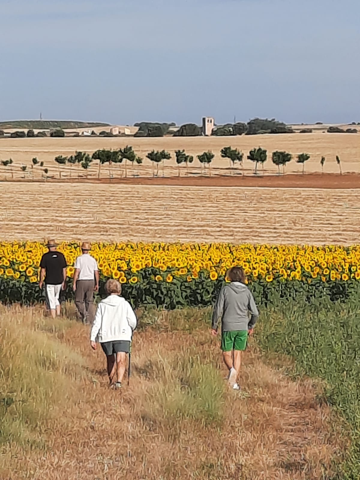 paseo por el campo