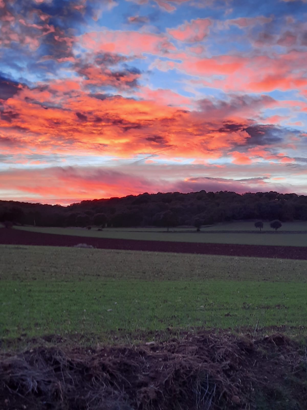 atardecer