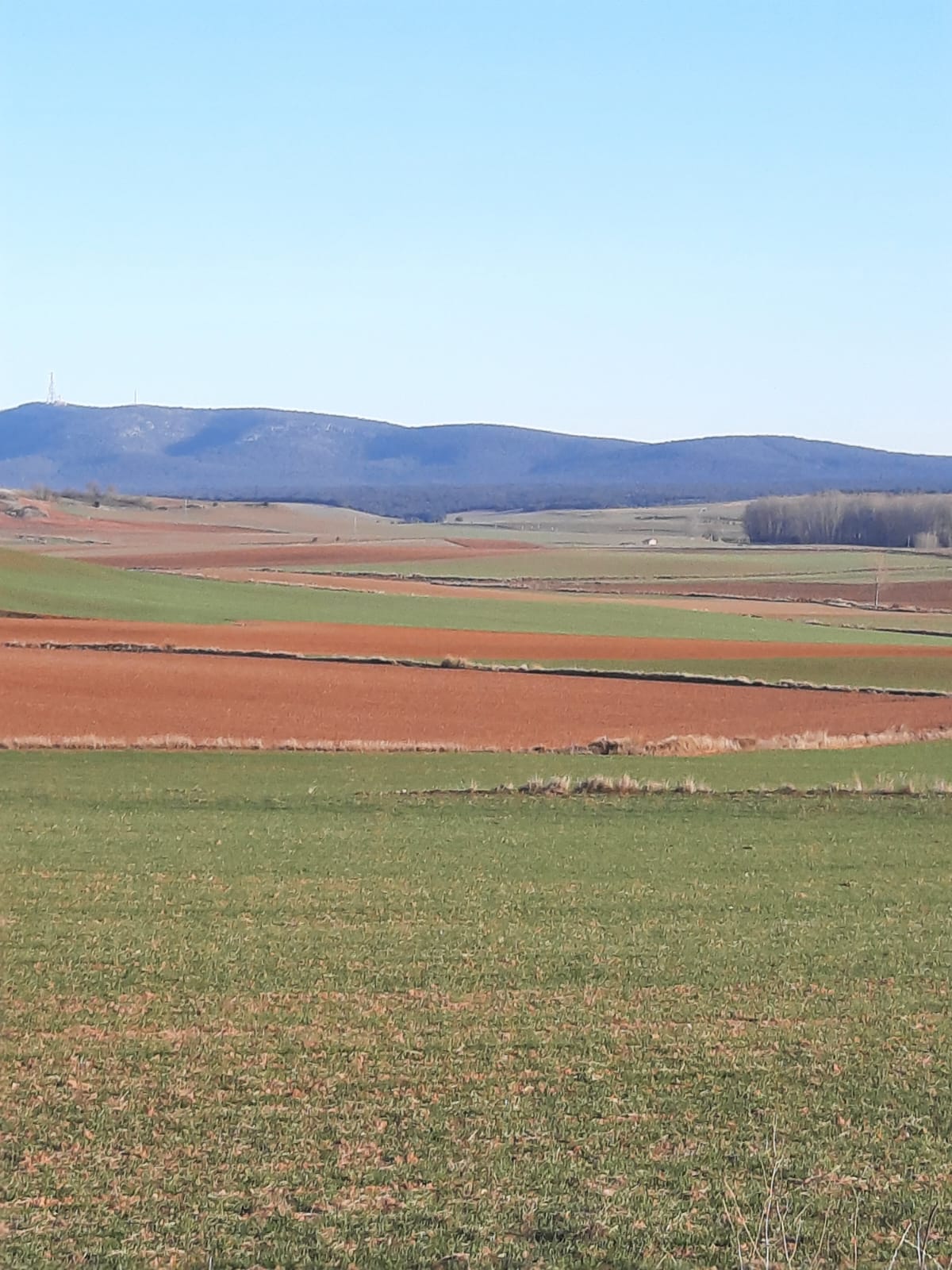 campos