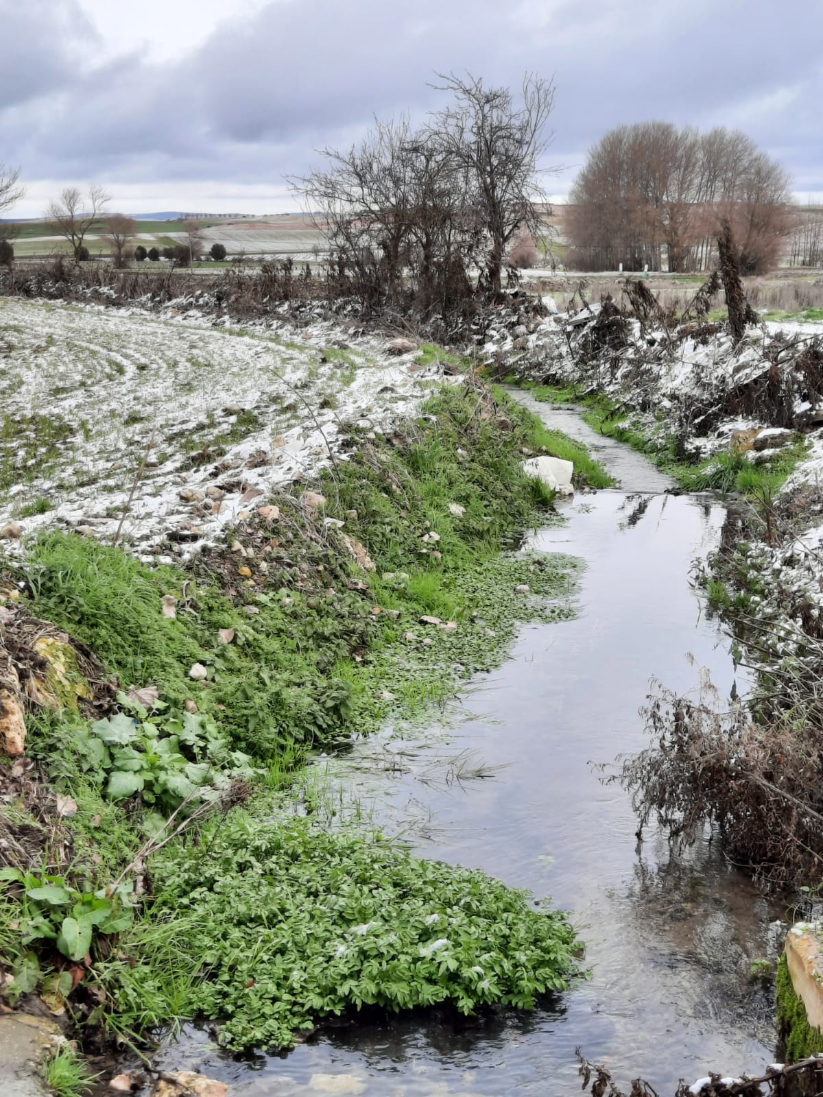 arroyo