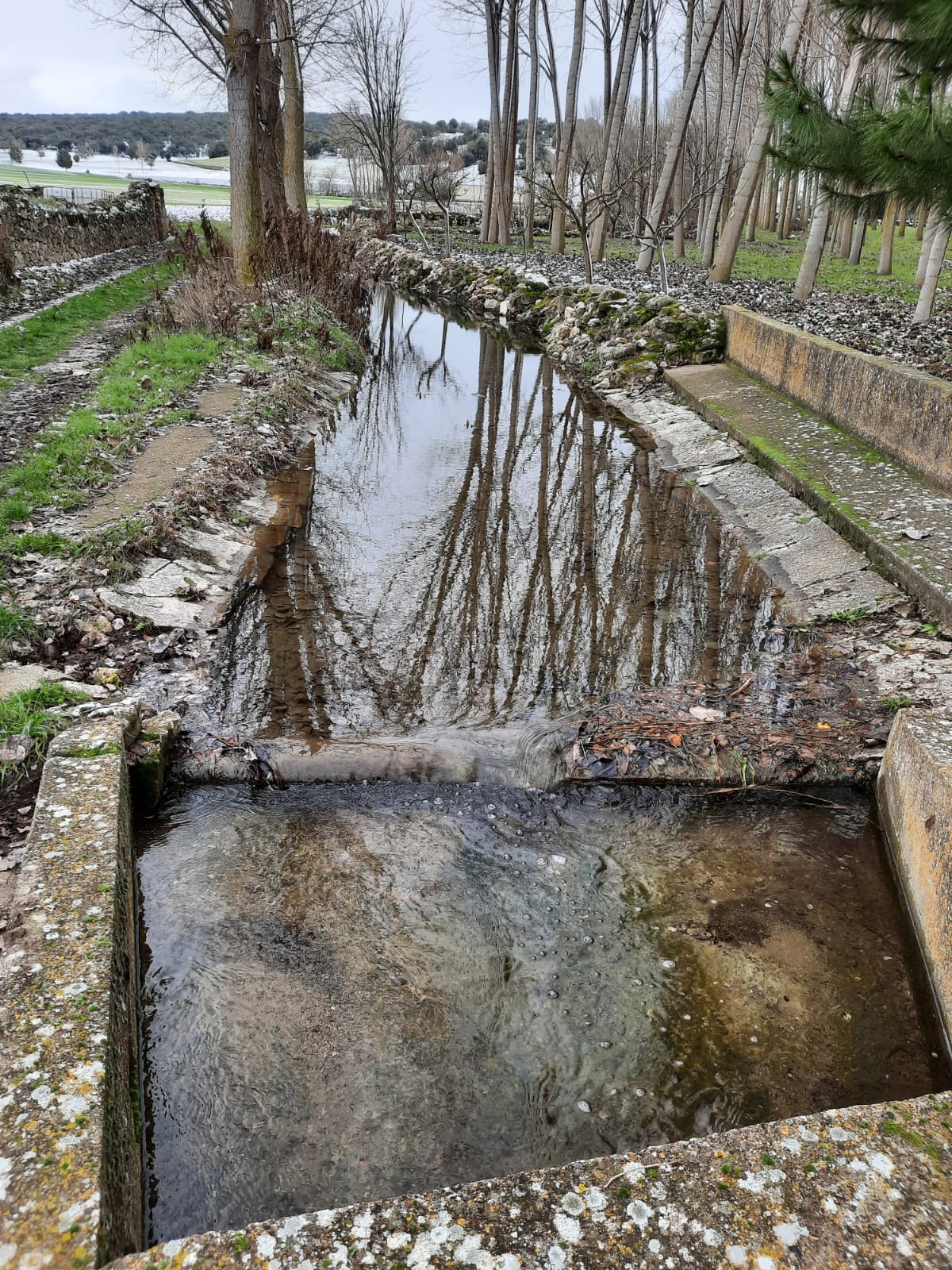 fuente carbonera