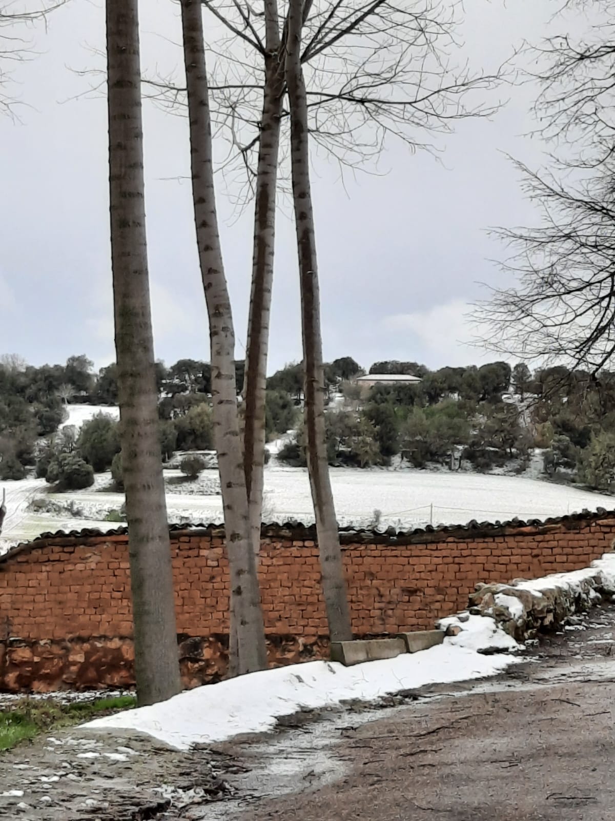 pueblo