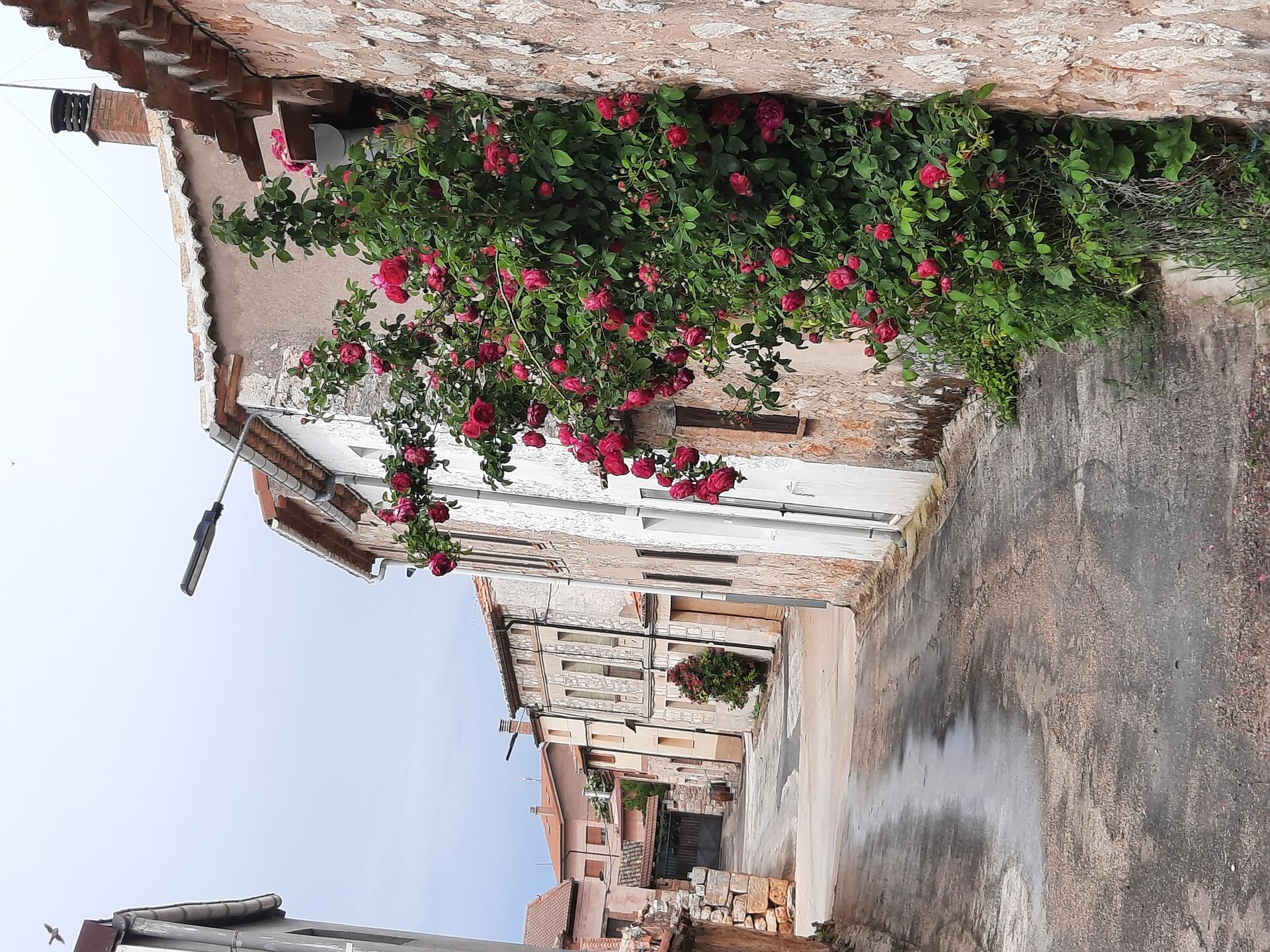 Calle Rondilla en Primavera