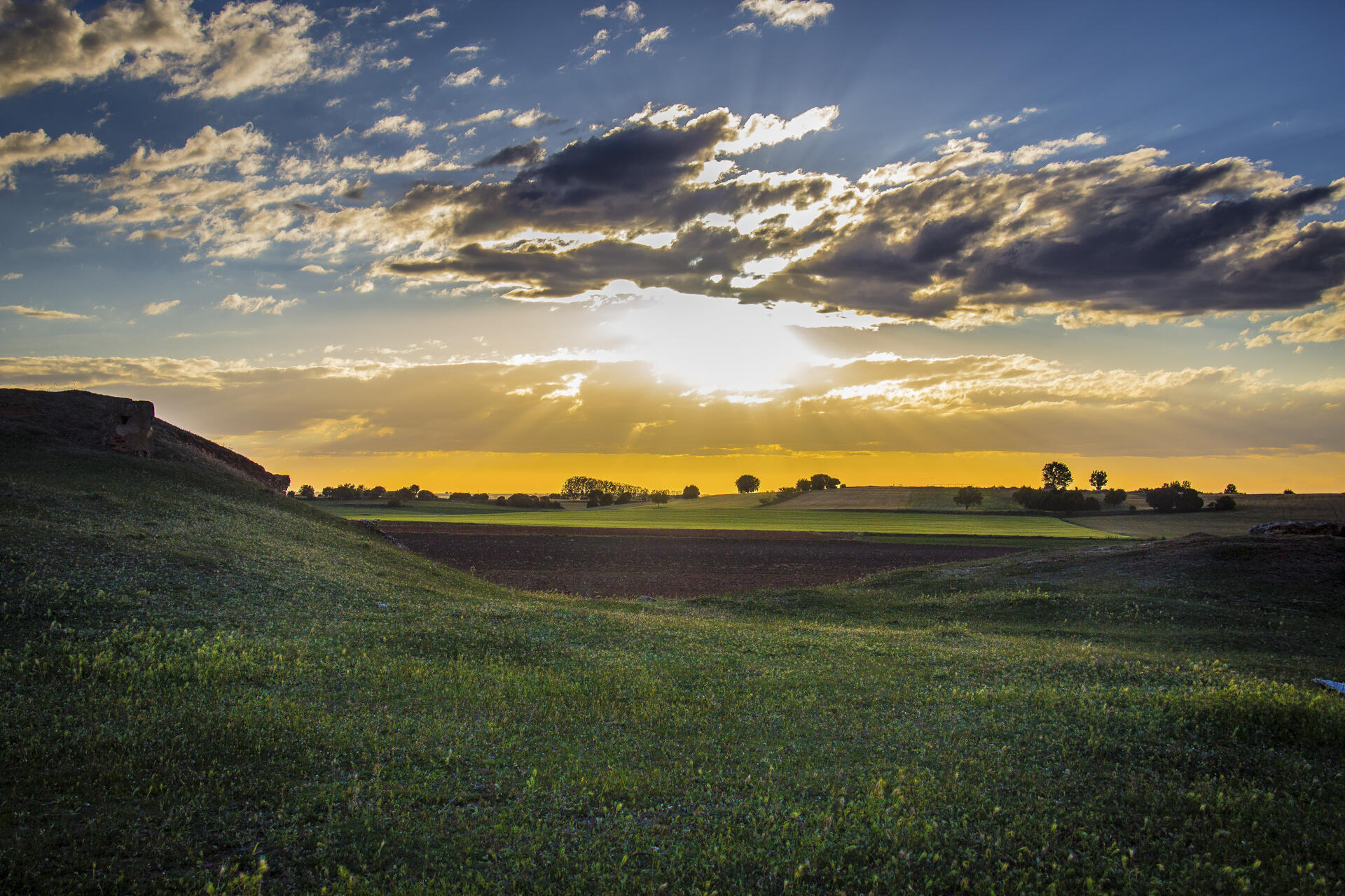 Campos verdes